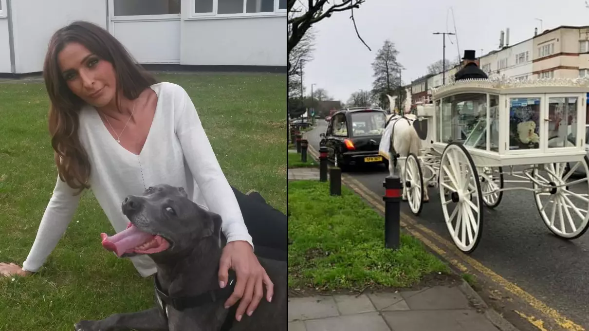 Heartbroken Dog Owner Forks Out £4,000 On Extravagant Funeral For Pet