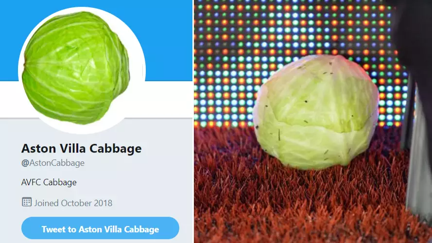 Someone Has Created A Twitter Account For The Cabbage That Was Thrown At Steve Bruce