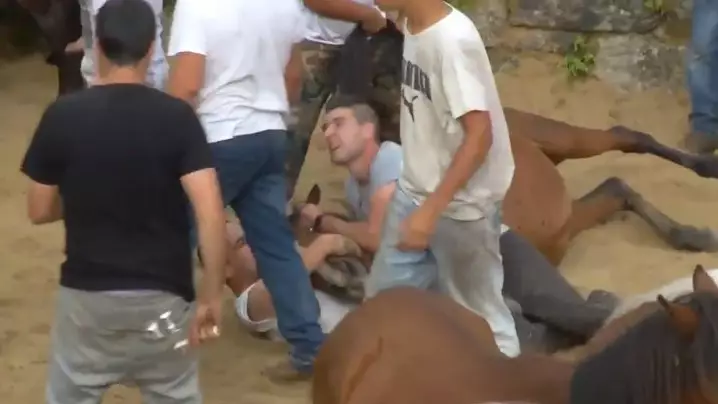 Ricky Gervais Hits Out At Spanish Festival Where People Brutally Fight Wild Horses