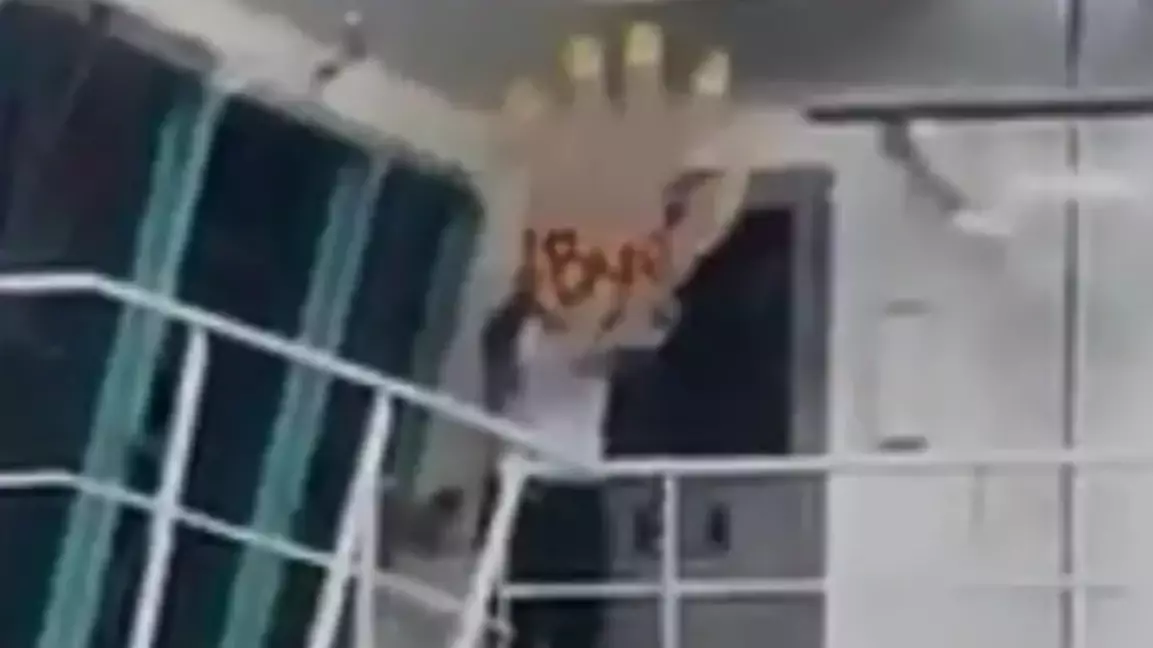 Cruise Ship Crew Member Waves Massive Fake Hand As Couple Arrive Too Late