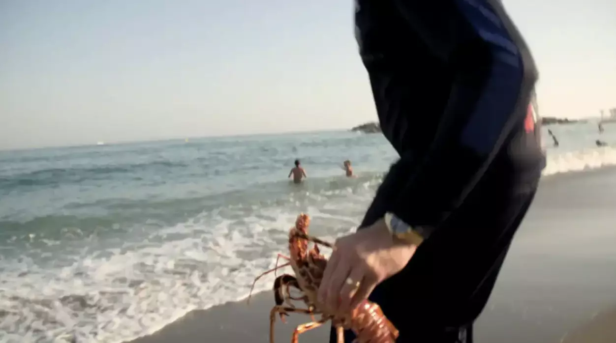 The boxer set the lobsters free in the nearby ocean.
