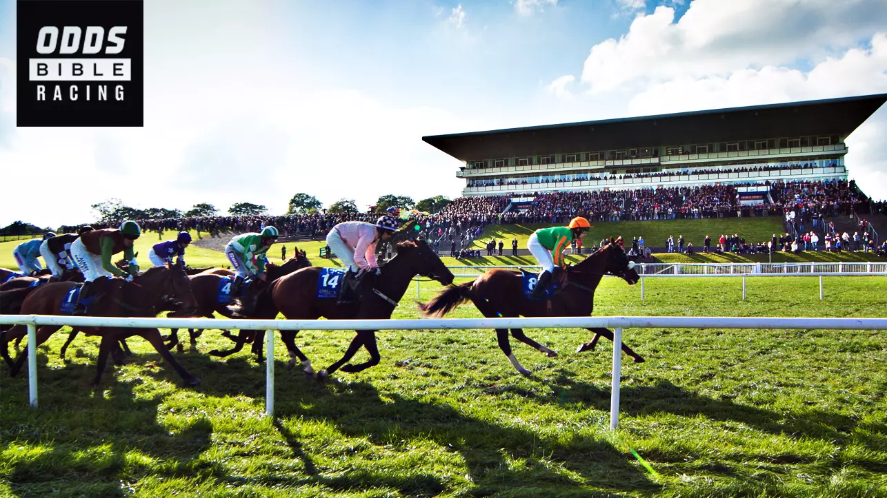 ODDSbibleRacing's Best Bets From Thursday's Action At Cheltenham, Tipperary and More