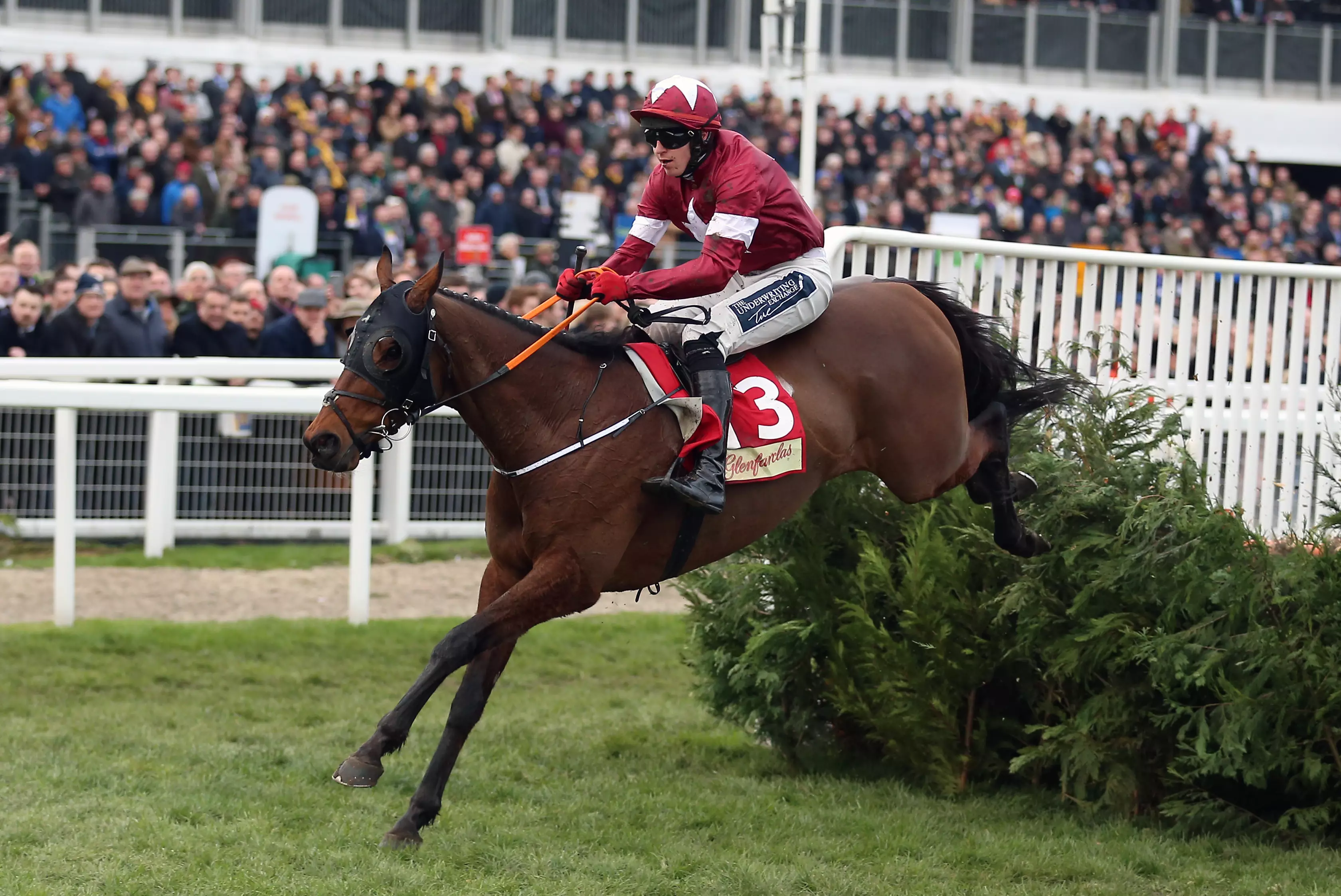 Tiger Roll at Cheltenham earlier this year.