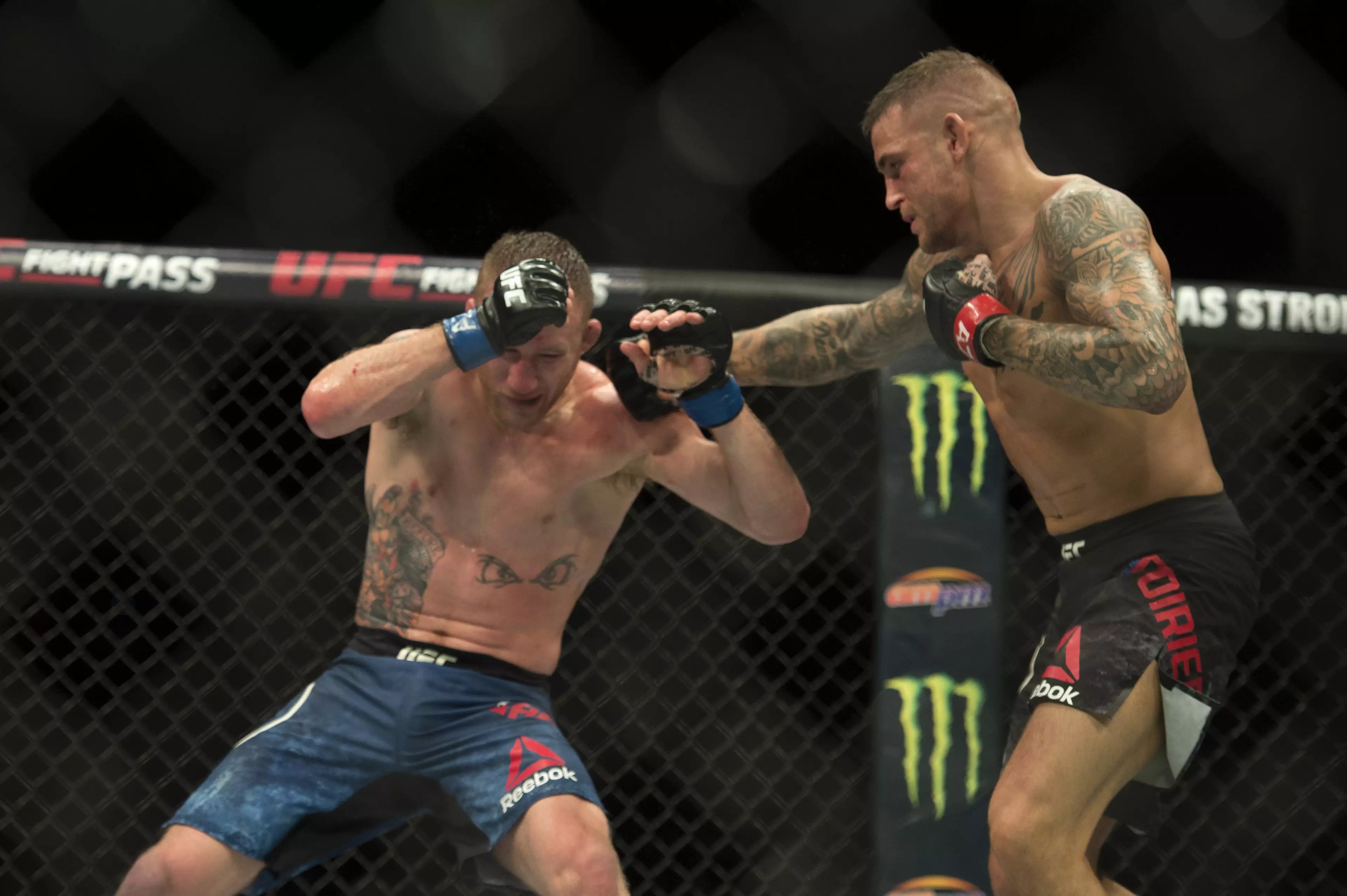 Poirier could be McGregor's next opponent. Image: PA Images