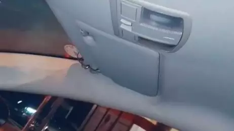 Woman Jumps Out Of Her Car After Spotting Massive Spider 