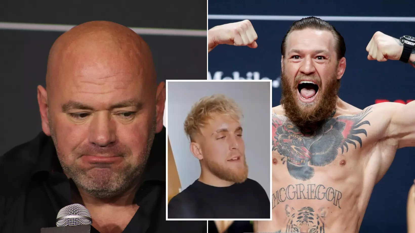 Jake Paul Ruthlessly Hits Out At Dana White And Fires Back At Conor McGregor
