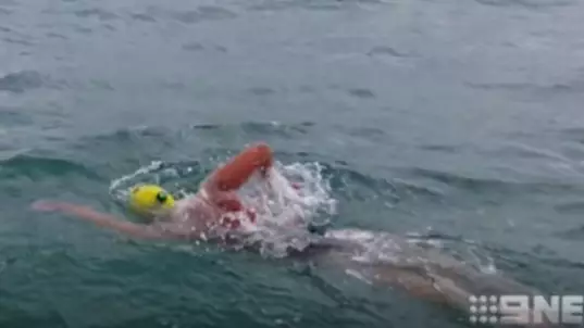 Man Seriously Injured In Shark Attack But Swims To Safety