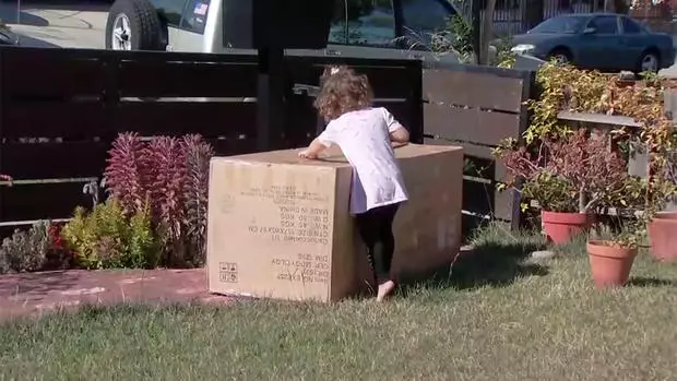 Toddler Buys Sofa Using Her Mum's Amazon Account