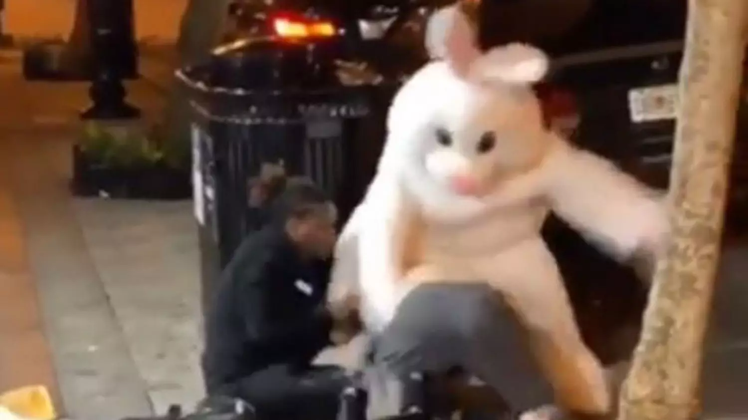 Video Shows Person Dressed As The Easter Bunny In A Brawl