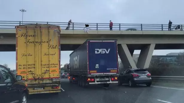 'Hero' Lorry Driver Stops Under Motorway Bridge As Girl 'Was Going To Jump'