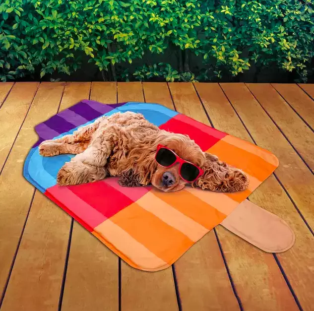 B&M is now selling cute cooling mats for our fur babies to cool off on when they're feeling the heat (
