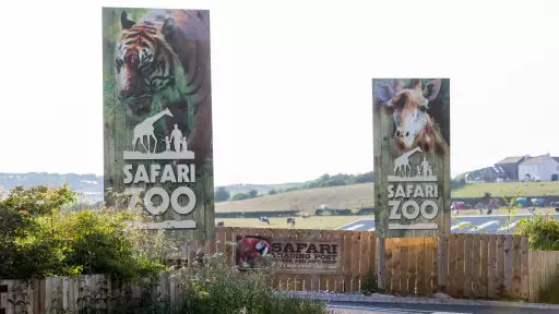 MP Calls For Investigation After Lion Dies At 'Britain's Worst Zoo' 