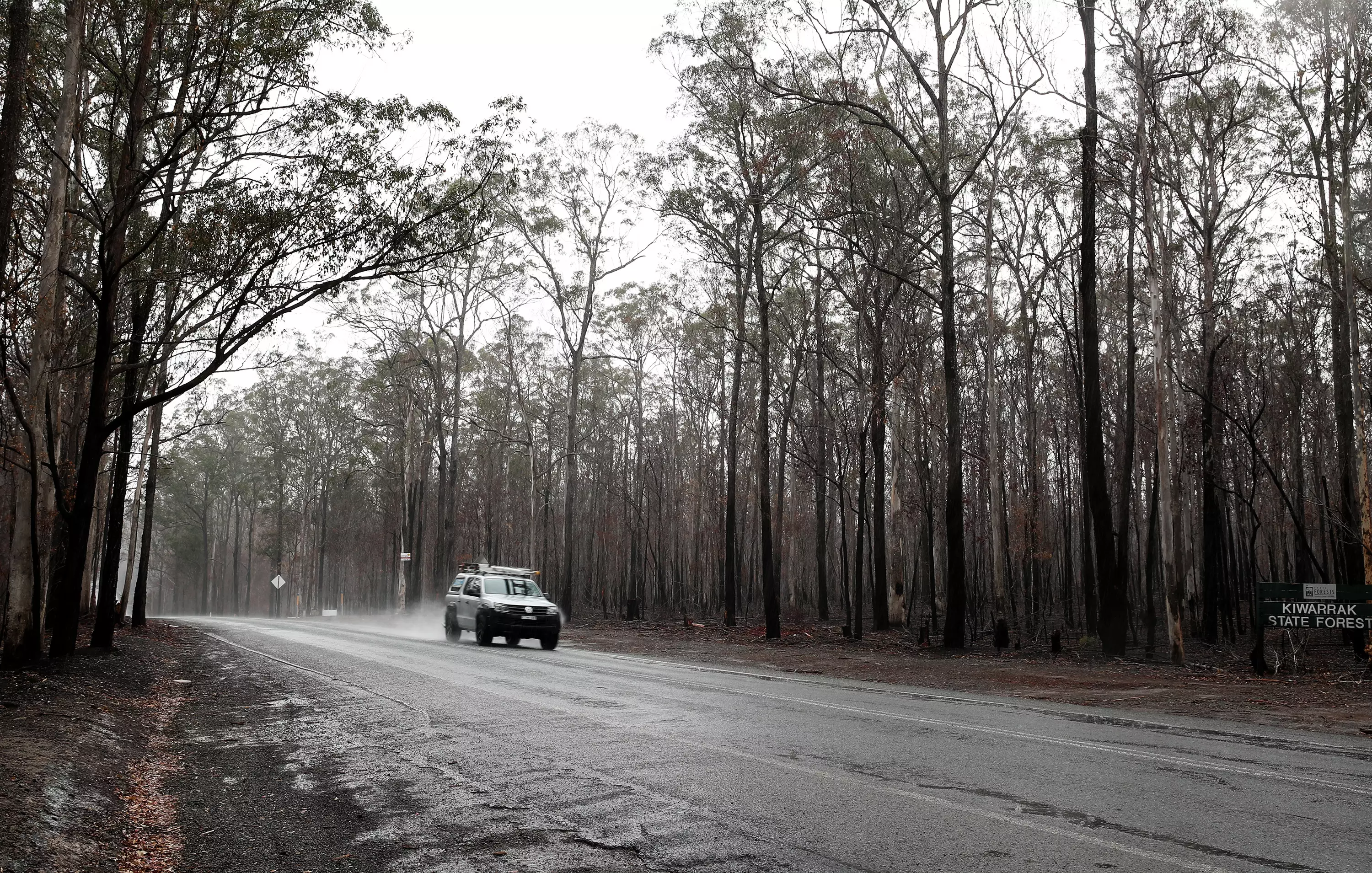 Rain recently fell in Taree, NSW.