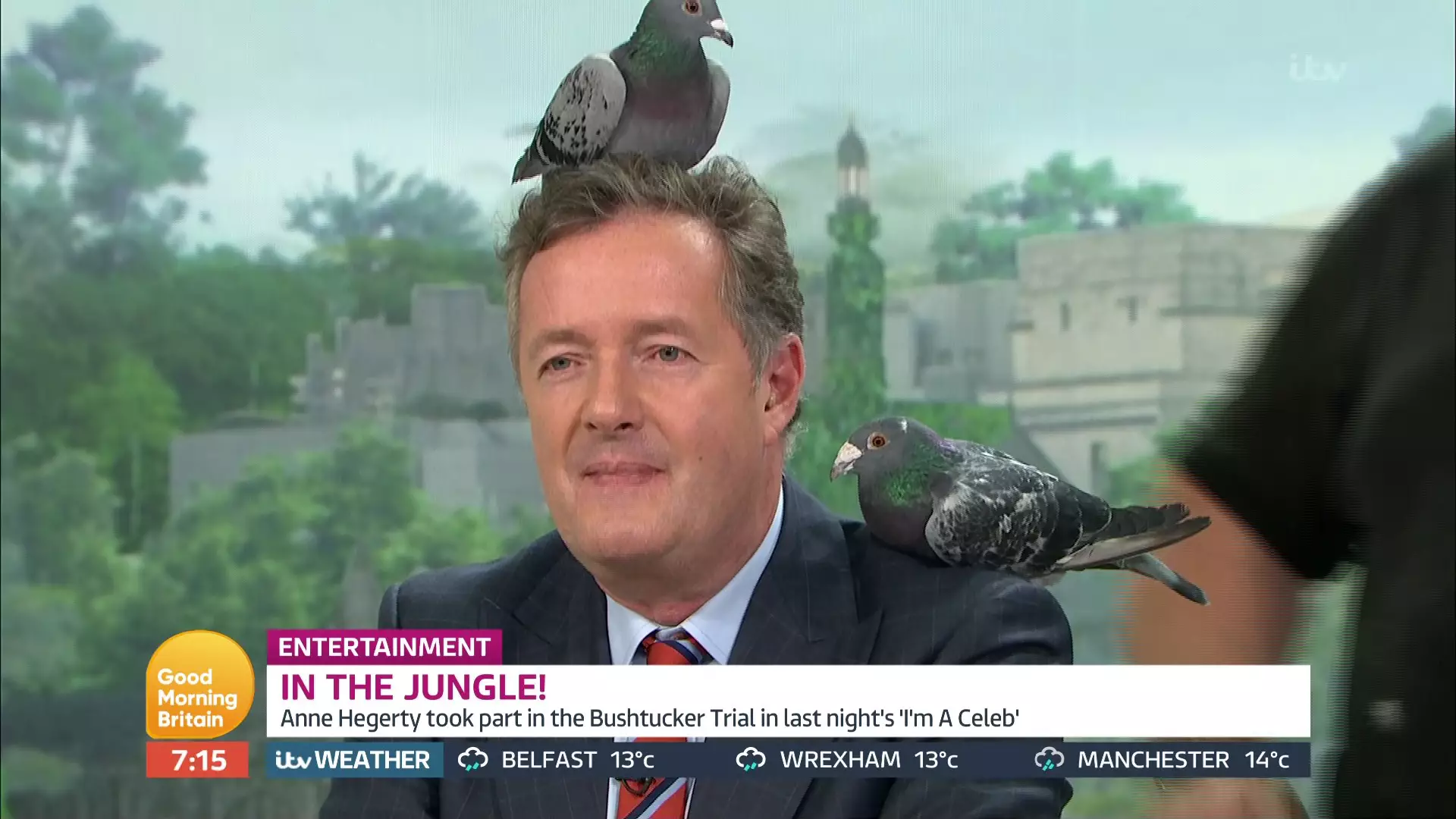 A 2018 episode of Good Morning Britain showing Piers Morgan covered in pigeons (