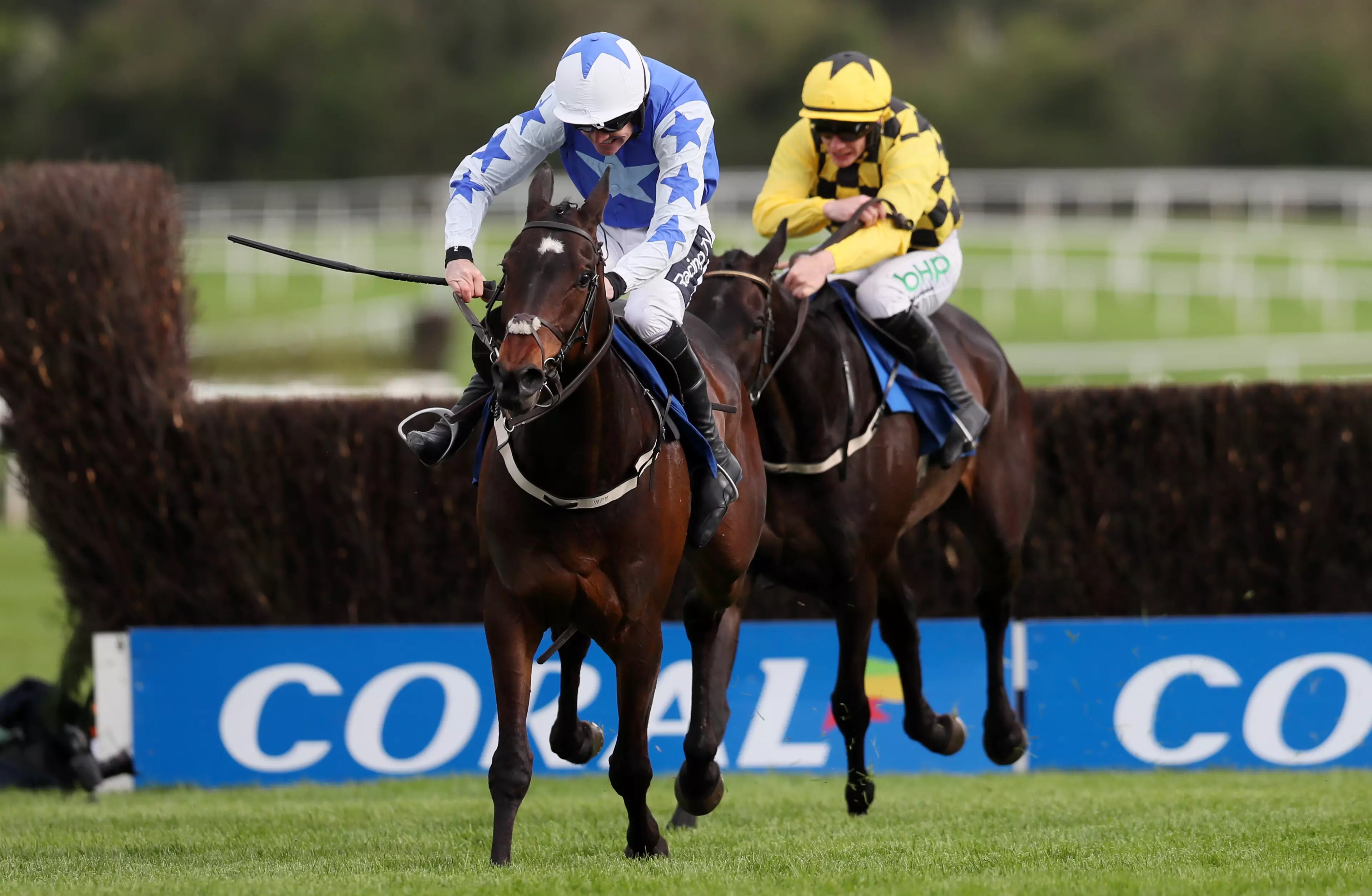Al Boum Photo and Kemboy go head-to-head in a fiercely contested Ladbrokes Punchestown Gold Cup on Wednesday