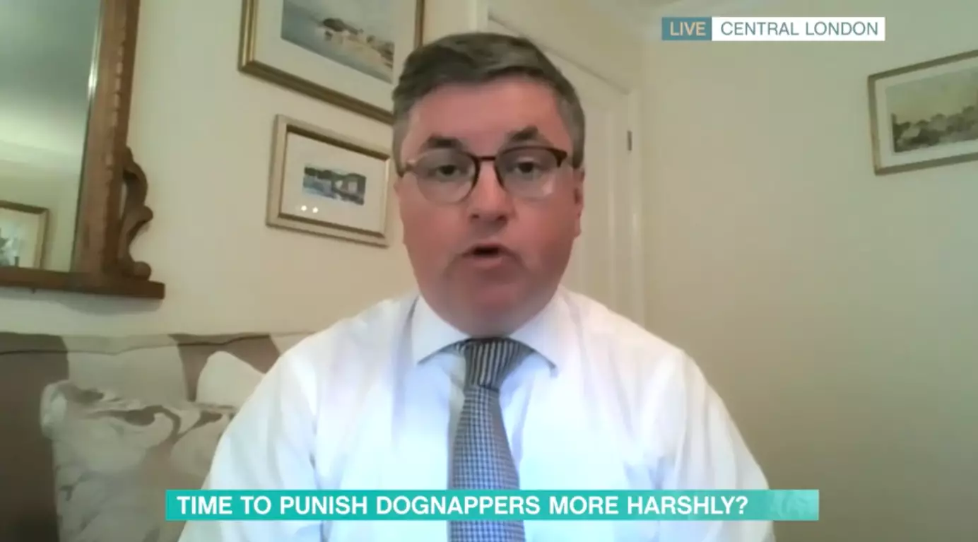 Lord Chancellor Robert Buckland speaks about the growing number of dog thefts (