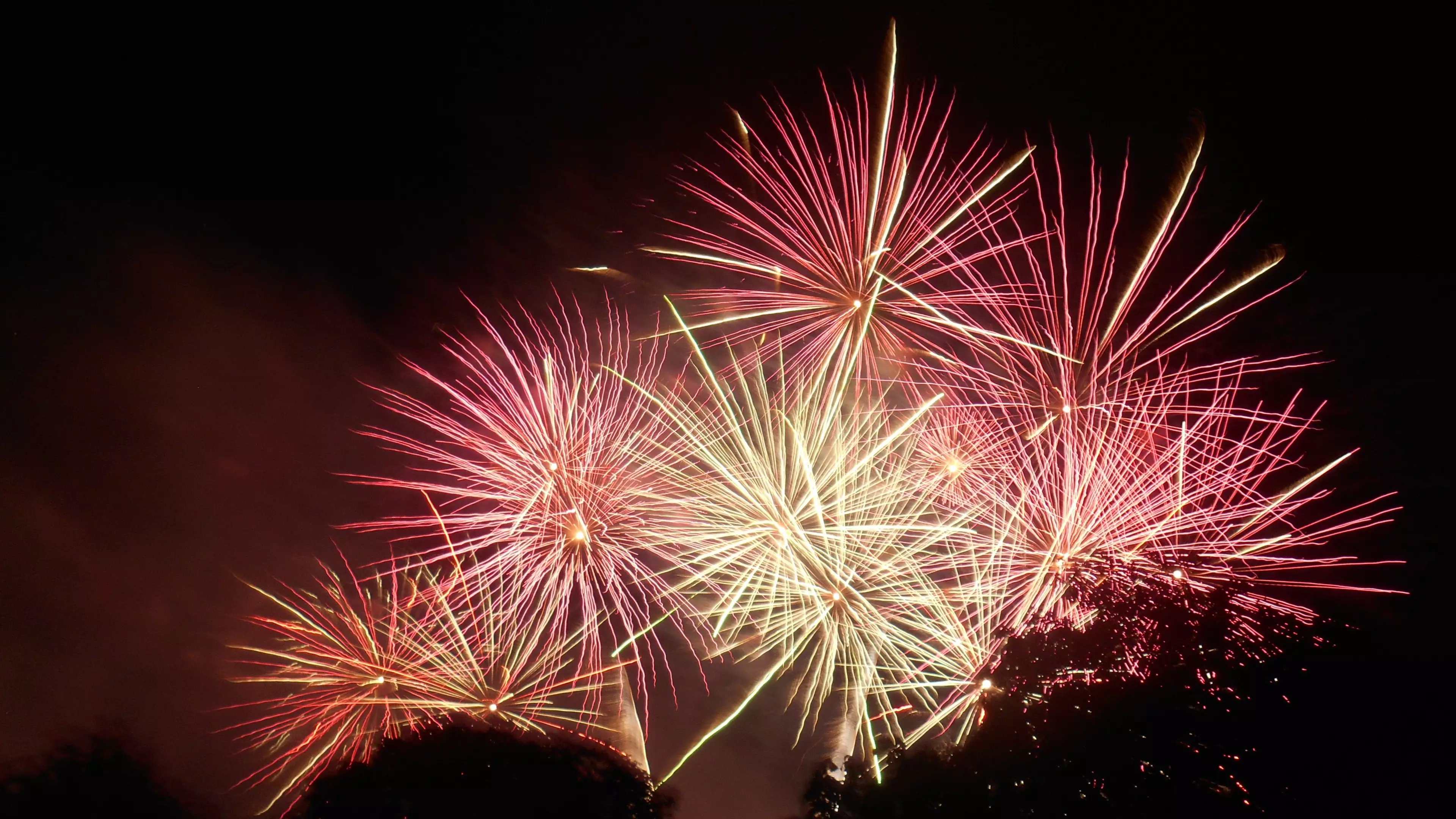 A petition has been launched calling for the ban of fireworks (