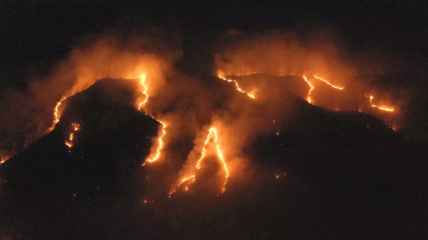 The Amazon rainforest on fire in 2019.