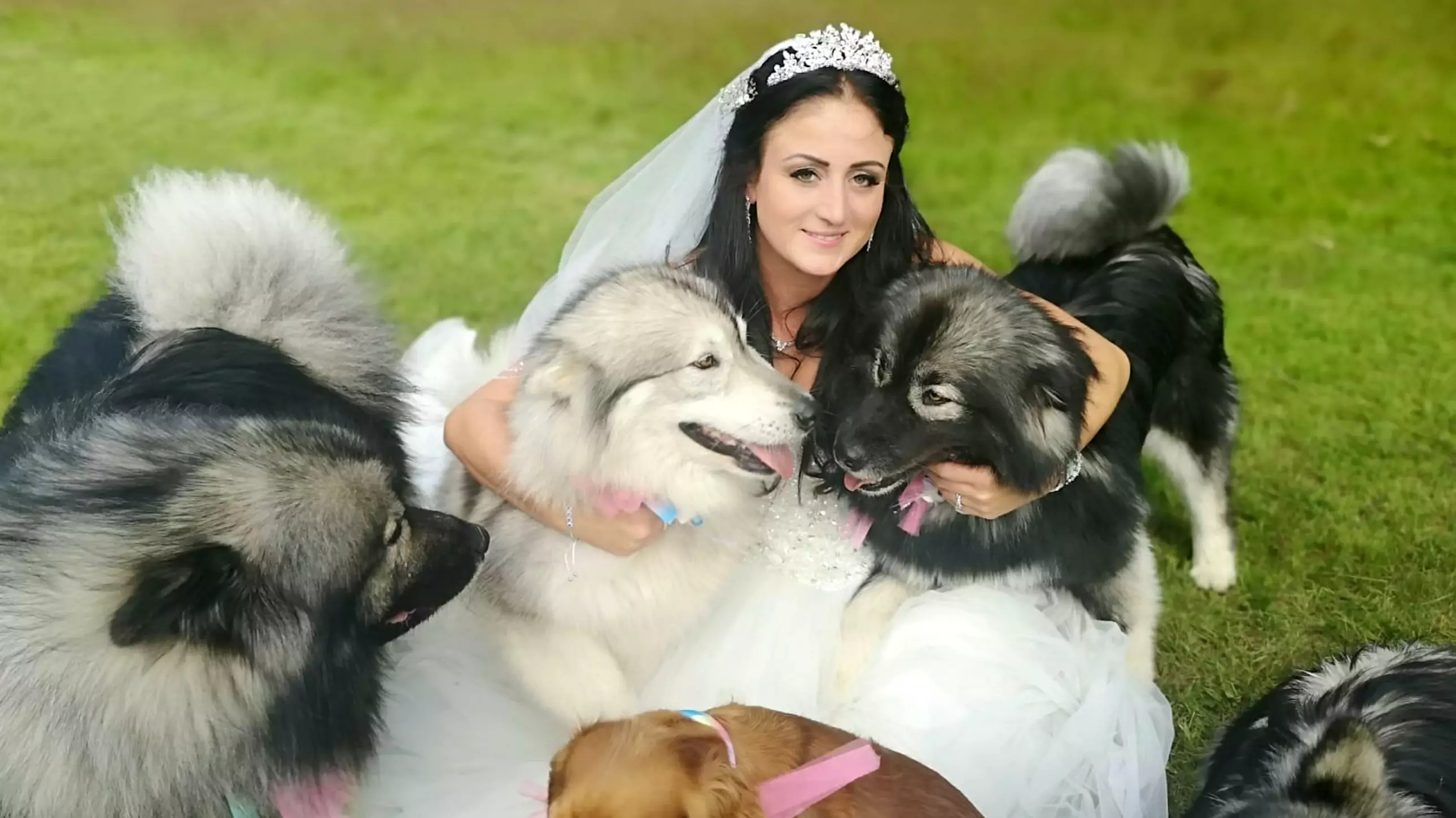 Animal-Loving Couple Have A Dozen Dogs And Two Horses At Their Wedding