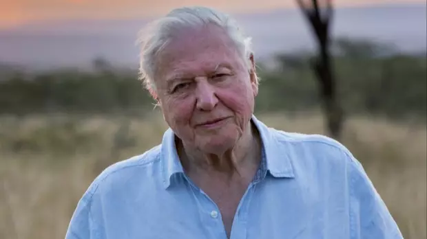 David Attenborough's New Documentary 'A Life On Our Planet' Lands On Netflix Today