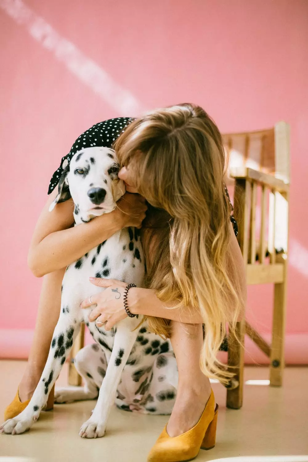Pets bring a huge amount of joy to people's lives and improve mental and physical wellbeing (