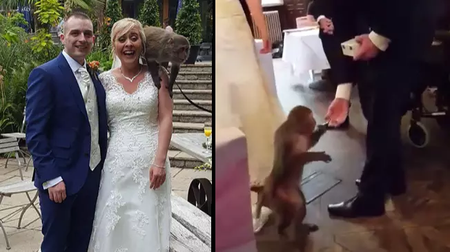 LAD Gets Monkey To Be Ring Bearer At His Wedding