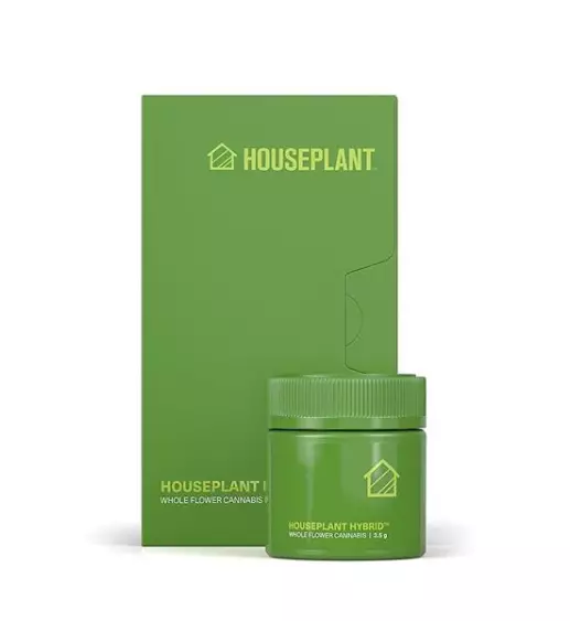 A prototype of what the Houseplant product could look like.