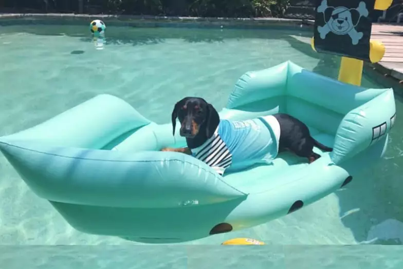 Floatie kmart top
