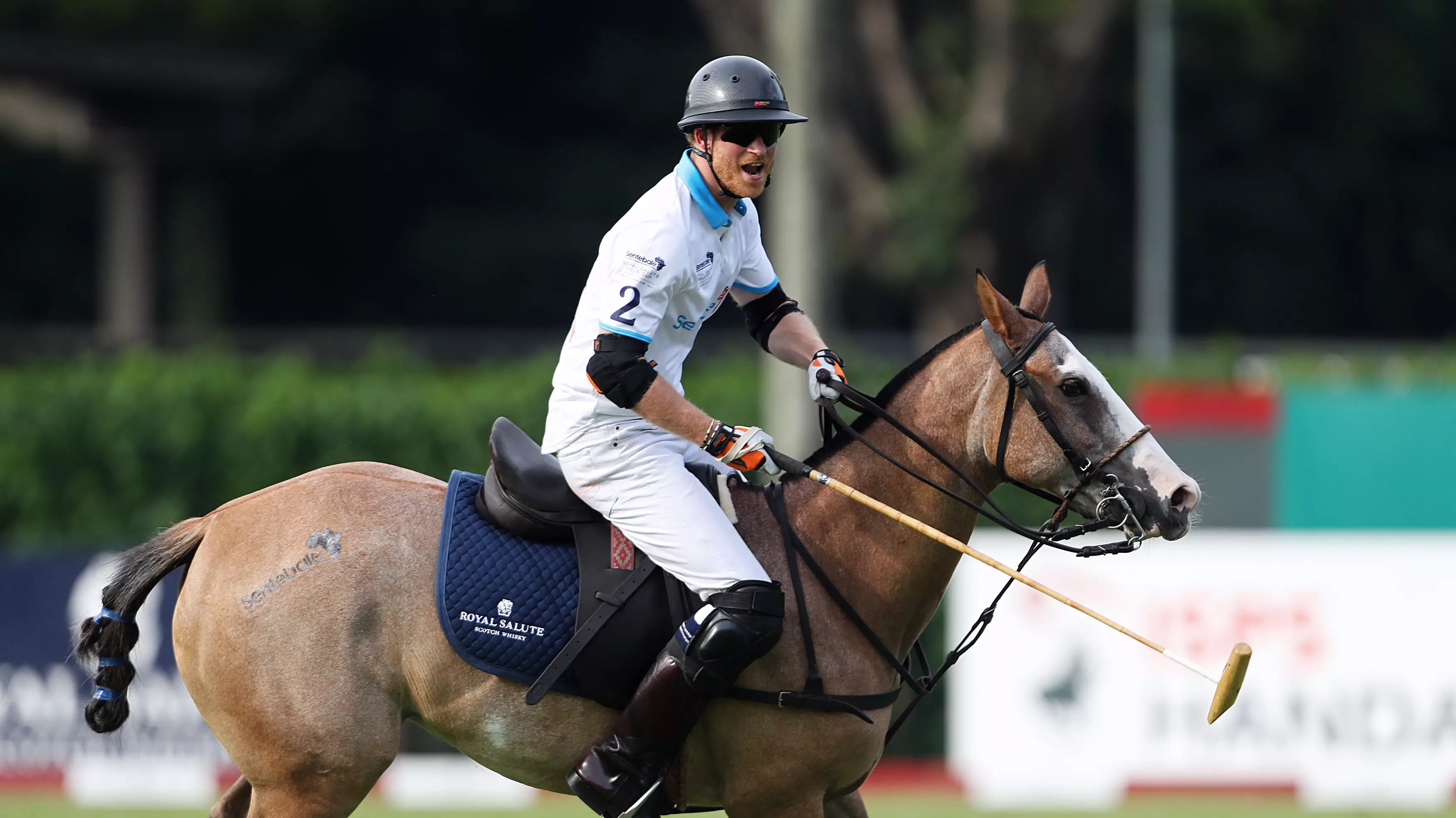 Aussie Polo Player Once Told Prince Harry To 'F**k Off' But Says Will Is ‘Perfect Bloke’ 