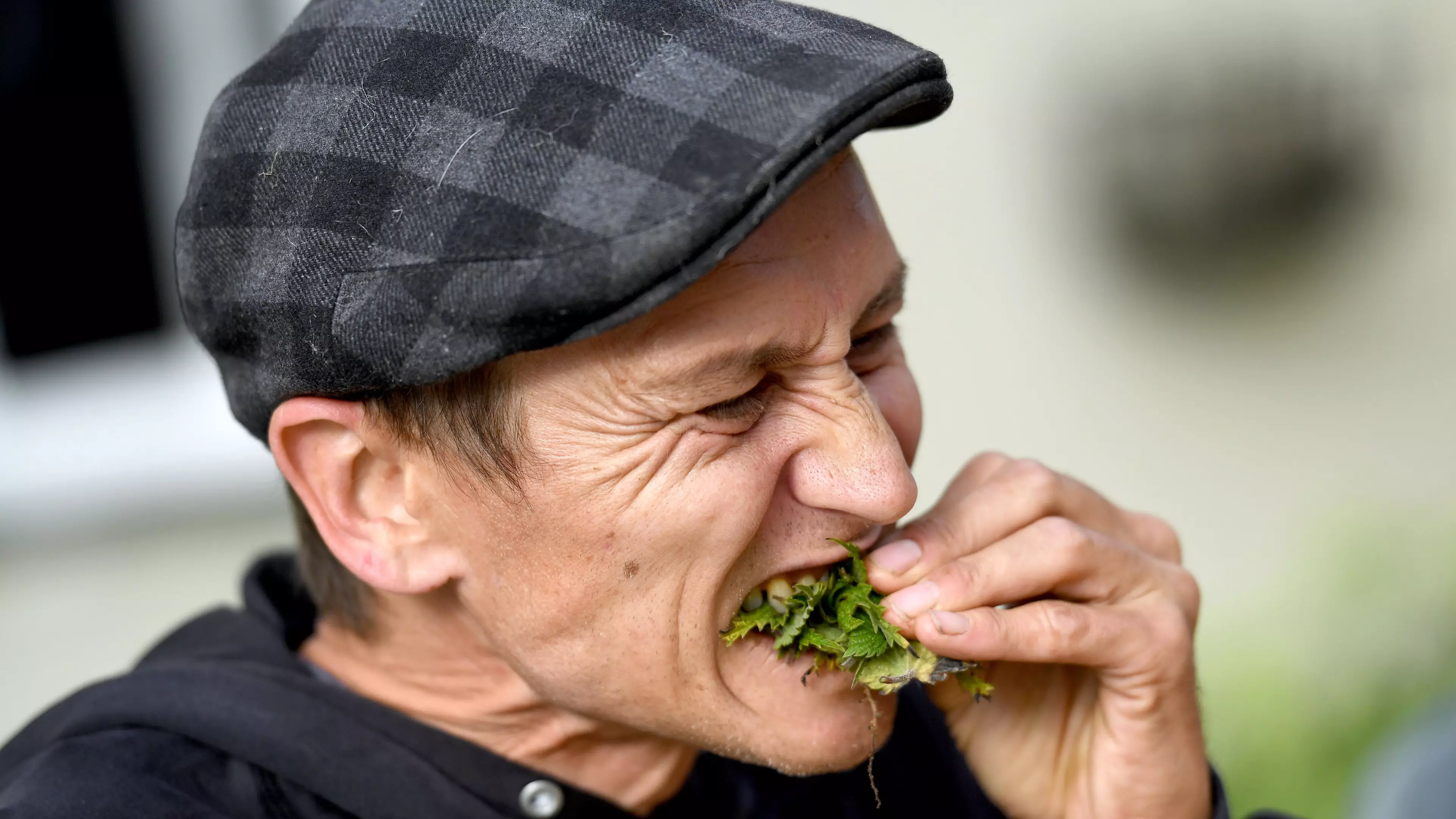 Man Claims World Record By Eating 54ft Of Stinging Nettles