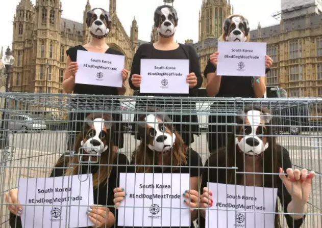 Anti Dog Meat Campaigners Outside Parliament.