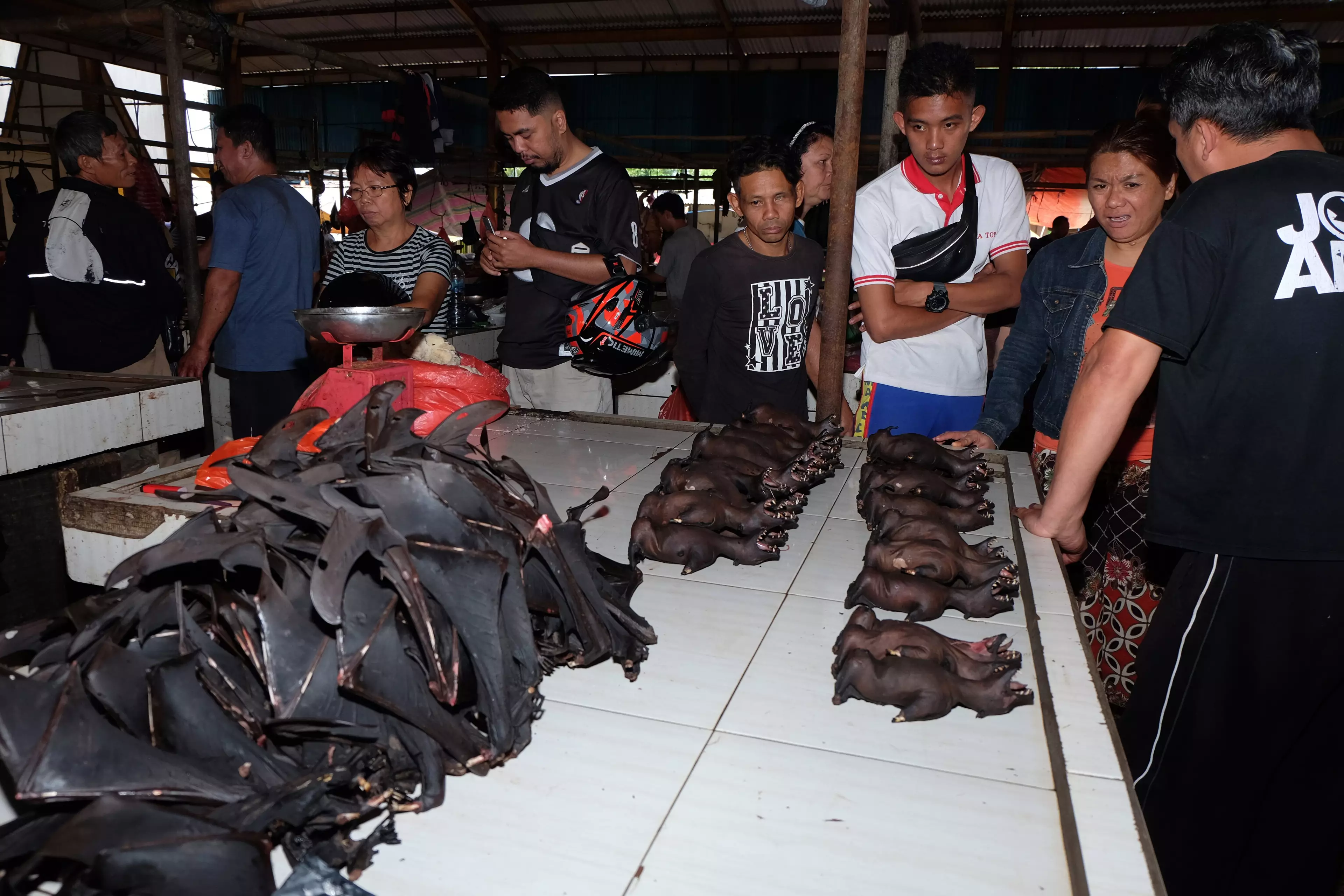 More bats are butchered for sale.
