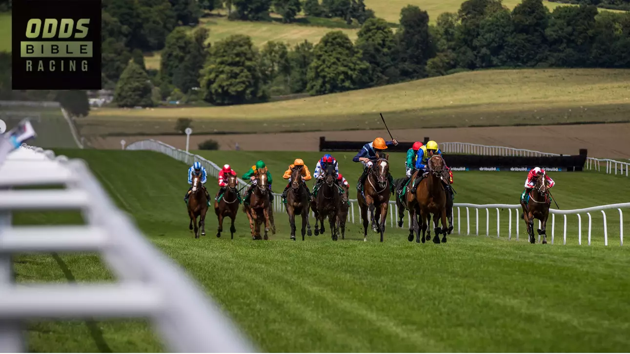 ODDSbibleRacing's Best Bets From Friday's Action At Chepstow, Cork And More