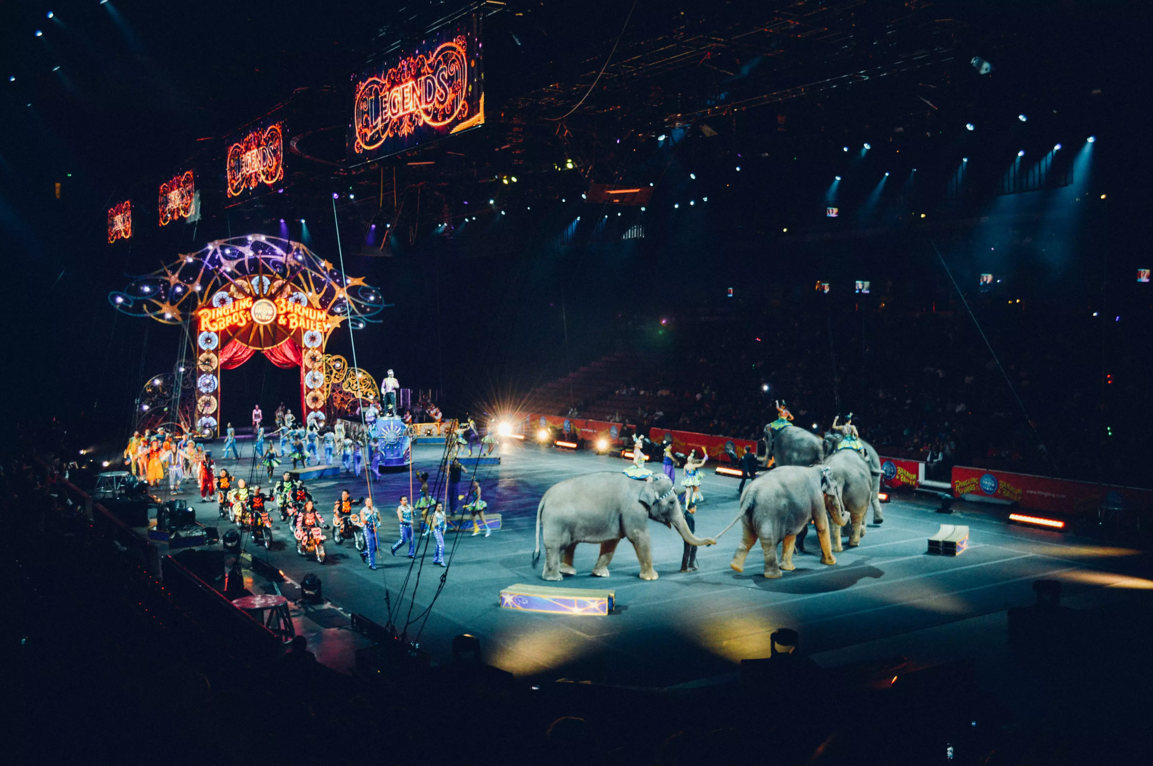 Wild animals will be banned from ravelling circuses (