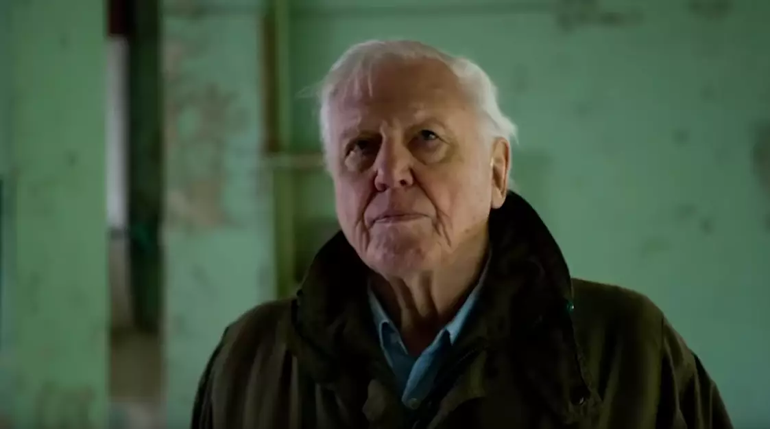 David Attenborough will issue a stark warning about the state of the natural world (