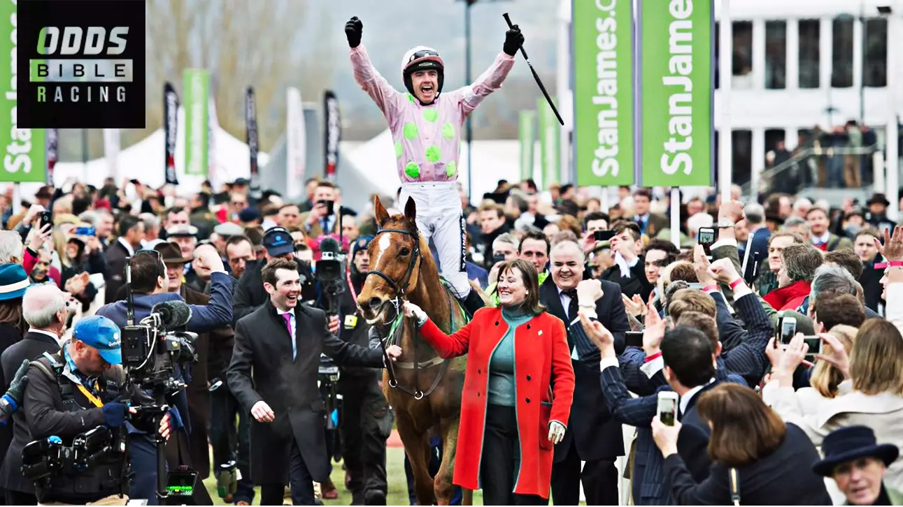 ODDSbible Racing: Star Mare Annie Power Retired