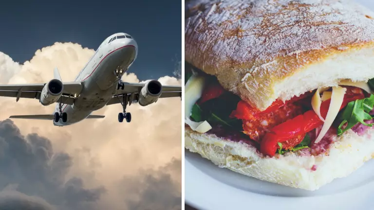 Man Shocked By Most Disappointing Sandwich Ever On Flight