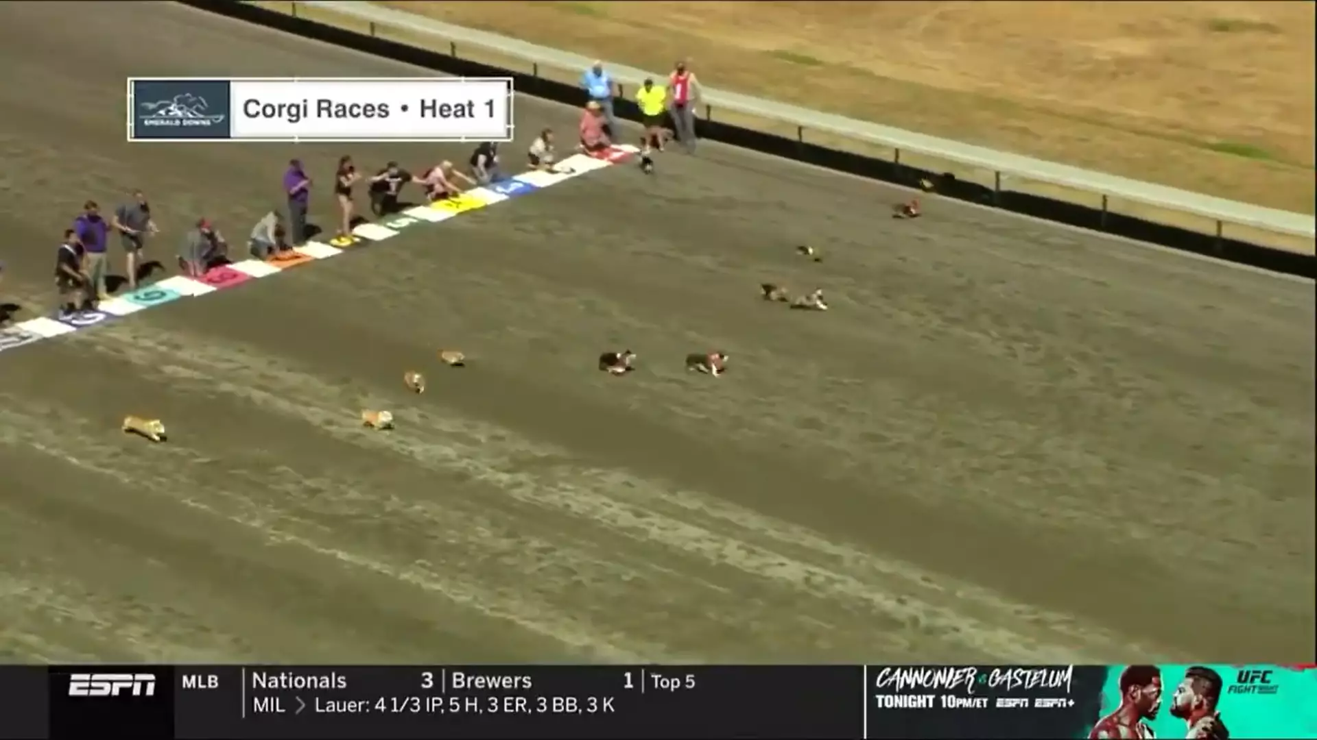 Viewers Baffled After ESPN Broadcasts Corgi Racing On Main Channel