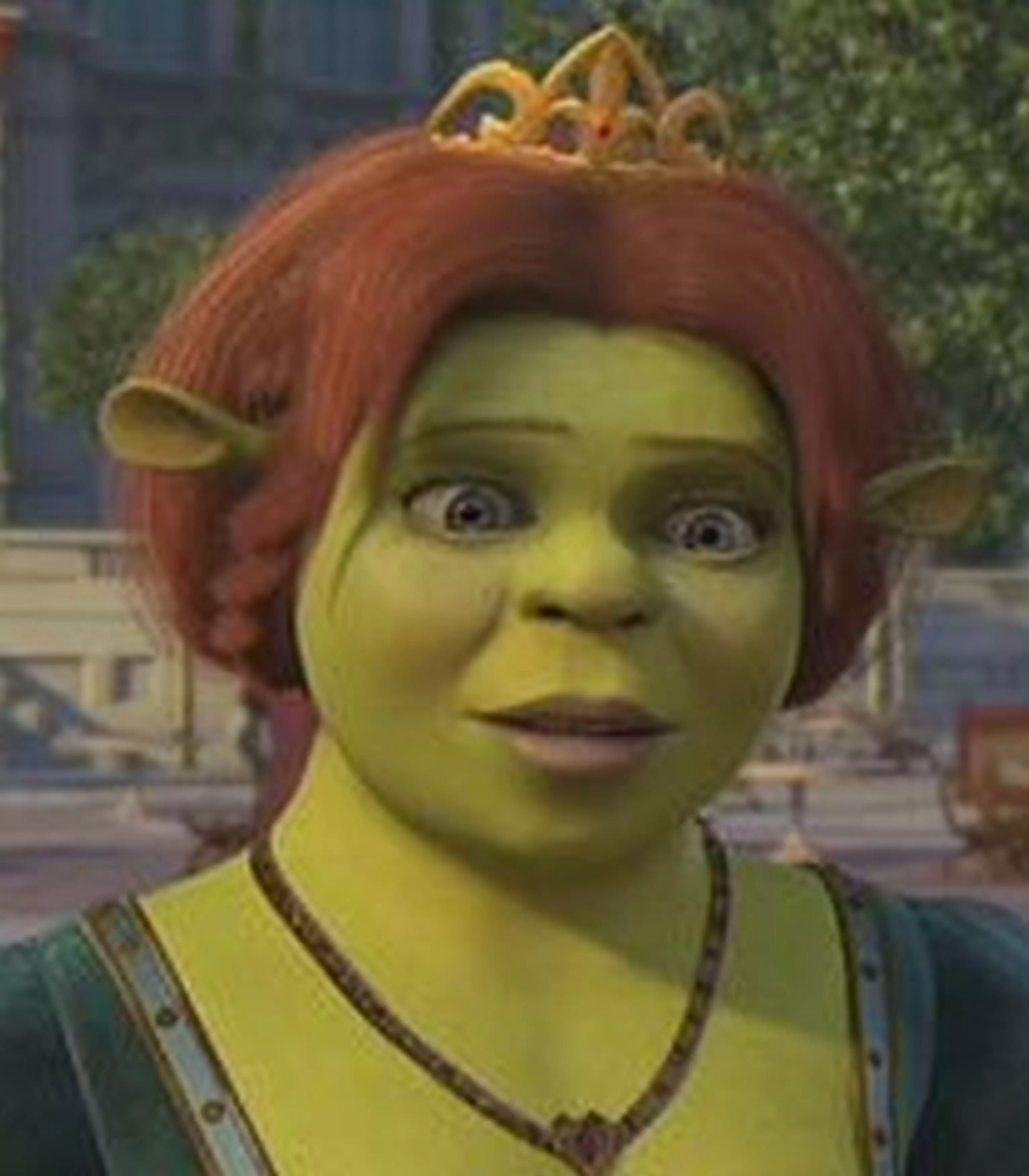 Princess Fiona is a green ogre in the movie Shrek (