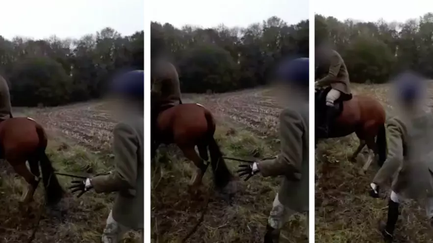 Shocking Video Footage Shows 'Terrified' Horse Being Cruelly Whipped 