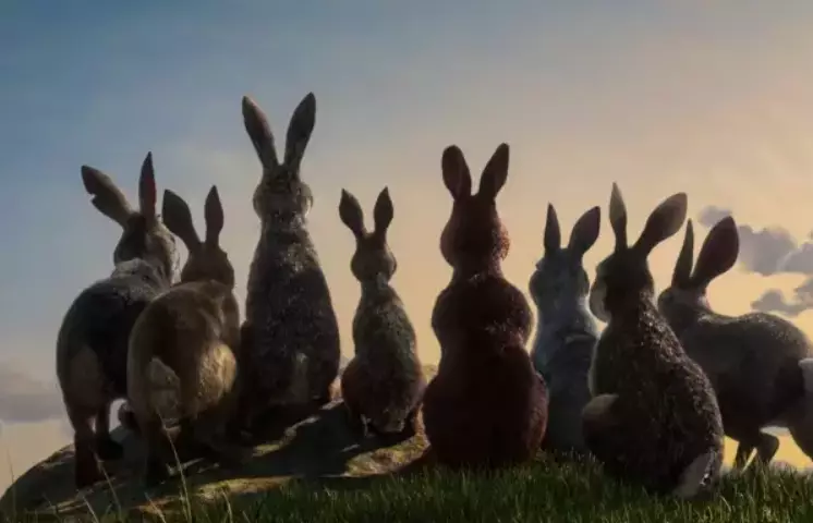 People Are Still Traumatised By Watership Down.