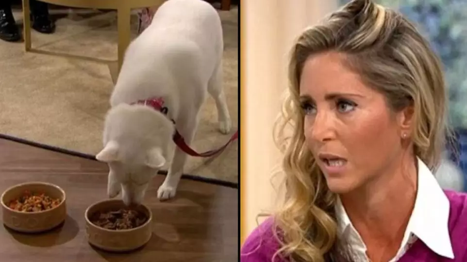 Woman Who Was Adamant Her Dog Was Vegetarian Proven Wrong On National TV