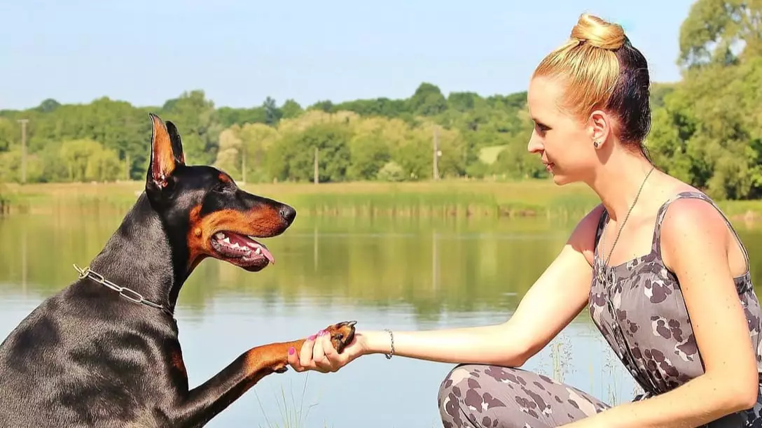 It Turns Out That People Who Chat To Their Pets Are Actually More Intelligent