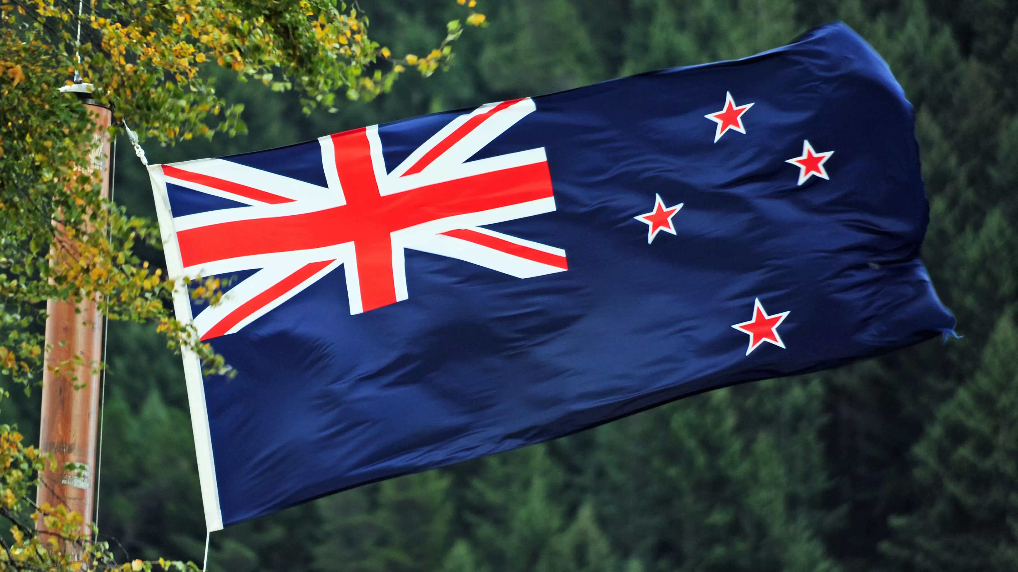 The Māori Party Want New Zealand's Name To Be Changed To Aotearoa