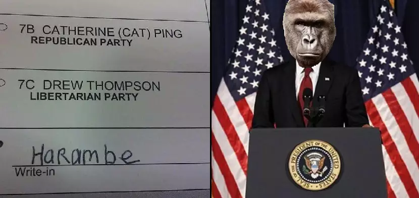 Thousands Of Americans Apparently Voted For Our Fallen Hero Harambe