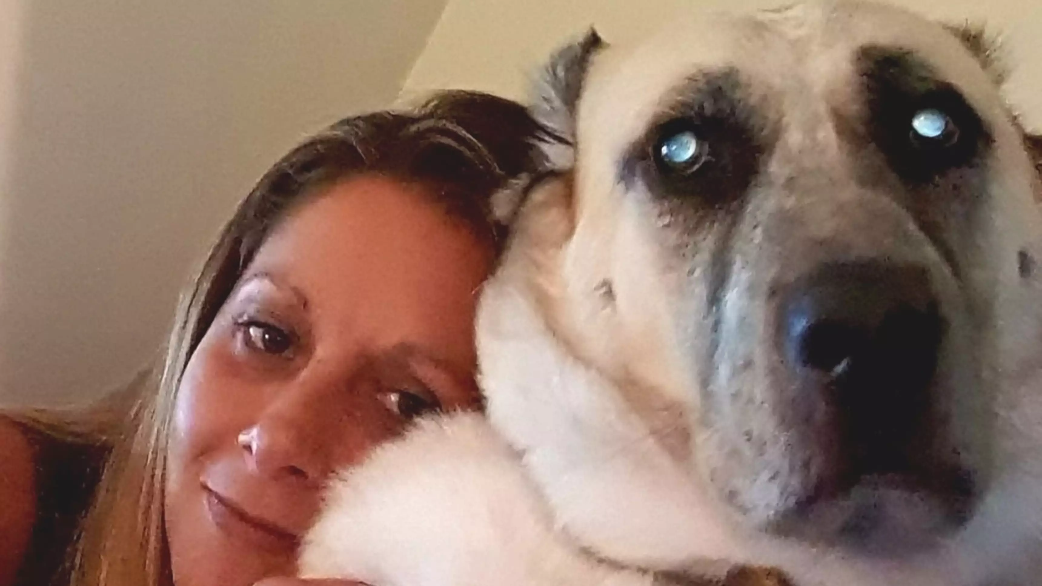Woman Issues Urgent Warning After Her Dog Suffers A Stroke 