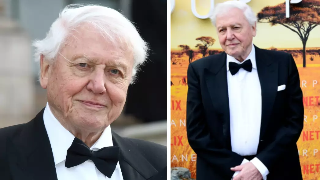 David Attenborough Says He 'Doesn't Have Long Left To Live'