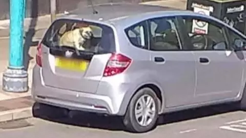 Dog Left In Car Outside Southport KFC On Hottest Day Of The Year So Far