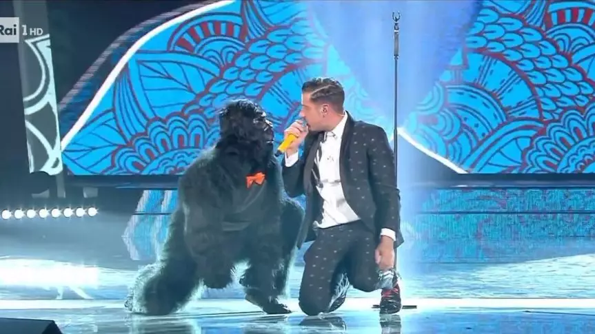 An Ape Will Be Performing At The Eurovision Song Contest Tonight