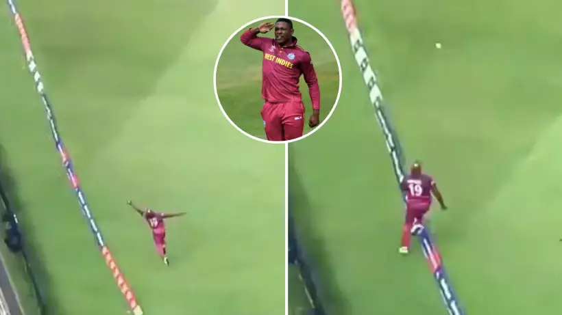 Sheldon Cottrell Takes Incredible World Cup Catch Vs Australia, 'Better Than Stokes'
